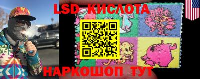 индика Лесосибирск