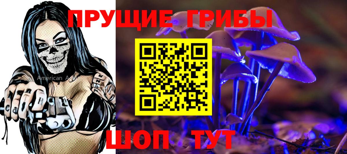 Псилоцибиновые грибы Psilocybe Калач-на-Дону