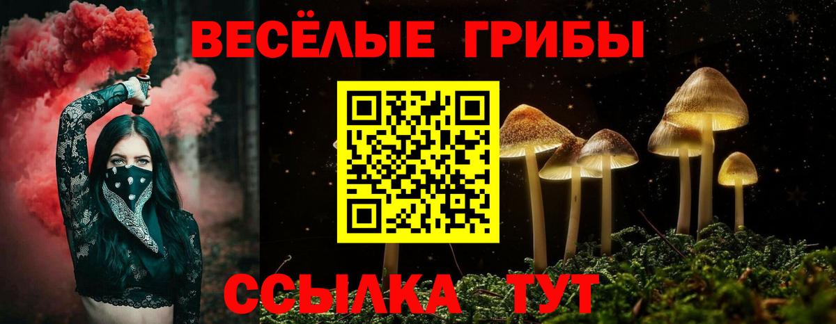 Псилоцибиновые грибы Magic Shrooms  Вход с VPN  закладки  Калач-на-Дону  Псилоцибиновые грибы Magic Shrooms 